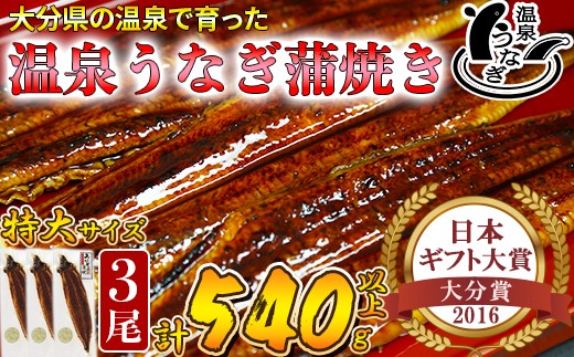 【日付指定可】完全無投薬 温泉うなぎ 蒲焼 3尾 (180gサイズ)【大分水産】国産 食べきり 個包装 冷凍 レンチン 真空 贈答 ギフト 受賞 美味しい 蒲焼き かば焼き かばやき おすすめ 惣菜 ランキング うなぎ ウナギ 鰻 うな丼 うな重 うなどん うなじゅう 海鮮 国産 九州 大分県 スタミナ 夏バテ ＜104-016＞