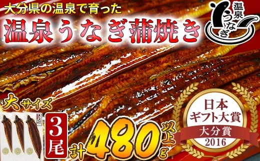 【配送日指定可能】温泉うなぎ蒲焼 3尾(160gサイズ) 国産うなぎ 人気 国産 蒲焼 蒲焼き かば焼き 鰻屋 個包装 冷凍 真空 ギフト <104-012_5>