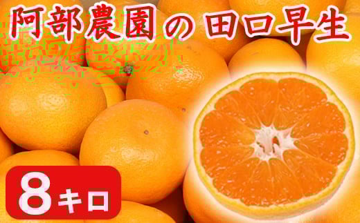 【訳あり品】阿部農園の「田口早生 約8kg」 / ミカン みかん 蜜柑 柑橘類 糖度 訳あり 11月 先行予約 年内配送 甘い 温州みかん 早生 年内発送 フルーツ <112-001>