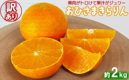 【訳あり・優品】今村農園の「おひさまきらりん 約2kg」 甘い オレンジ みかん ミカン 清美 12月発送 1月発送 先行予約 2kg わけあり 柑橘類 フルーツ <107-018_7>