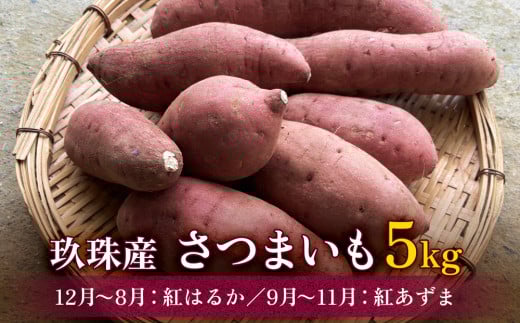 大分県産 玖珠産　さつまいも5kg　紅はるか （12月～8月） 紅あずま （9月～11月）