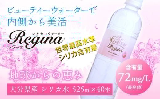 シリカウォーター Regina(レジーナ)40本