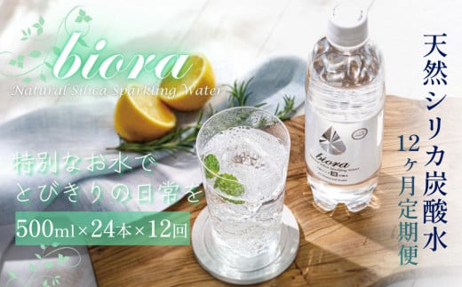 biora天然シリカ炭酸水 500ml×24本 定期便 12ヶ月 天然水 炭酸水 スパークリングウォーター シリカ 軟水 美容 健康 ミネラル 飲料水 備蓄 防災 健康 九州 採水 吸収率 高い 安全 含有量72mg 硬度43.1 備蓄 防災 含有量 吸収率 継続 効率 天然 シリカ成分