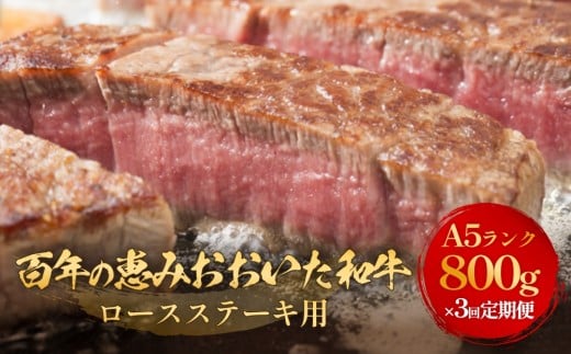 「百年の恵み おおいた和牛 」A5 ロースステーキ用 200g × 4枚 × 3ヶ月 定期便 おおいた和牛 ロースステーキ A5等級 黒毛和牛 大分県産 牛肉 高級肉 霜降り 和牛ステーキ 風味豊か 脂質 種雄牛 血統 高評価 冷凍
