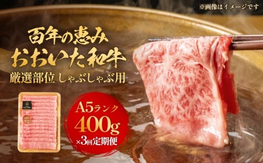 「百年の恵み おおいた和牛 」しゃぶしゃぶ用 400g × 3ヶ月 定期便 おおいた和牛 黒毛和牛 A5 等級 しゃぶしゃぶ用 牛肉 ロース 肩ロース もも 肩 部位 霜降り 血統 風味 脂肪 産地 九州 大分 肉 食材 グルメ 豊後牛