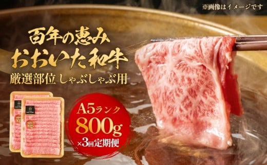 「百年の恵み おおいた和牛 」しゃぶしゃぶ用 800g × 3ヶ月 定期便 おおいた和牛 黒毛和牛 A5 等級 しゃぶしゃぶ用 牛肉 ロース 肩ロース もも 肩 部位 霜降り 血統 風味 脂肪 産地 九州 大分 肉 食材 グルメ 豊後牛