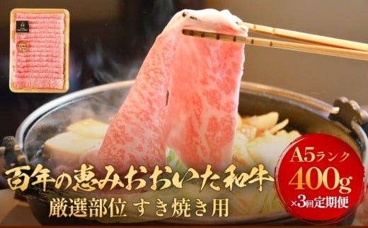 「百年の恵み おおいた和牛 」すき焼き用  400g × 3ヶ月 定期便 おおいた和牛 黒毛和牛 A5 等級 すき焼き用 牛肉 ロース 肩ロース もも 肩 部位 霜降り 血統 風味 脂肪 産地 九州 大分 肉 食材 グルメ 豊後牛