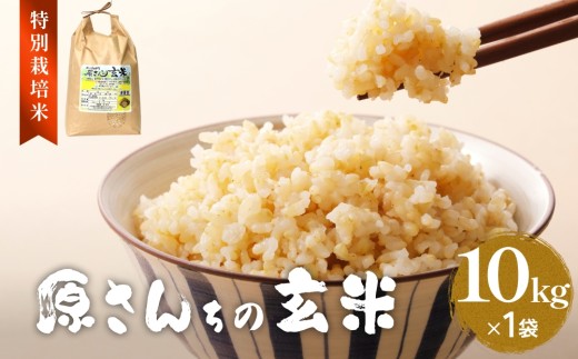 令和7年度産 原さんちの玄米 10kg ヒノヒカリ 有機質肥料 特別栽培米 原農園 完熟堆肥 アートテン農法 抗酸化農法 有効微生物農法 光合成 体に良い 美味しい お米 安全 清潔 環境に優しい 栄養価 高品質 産地直送 健康志向