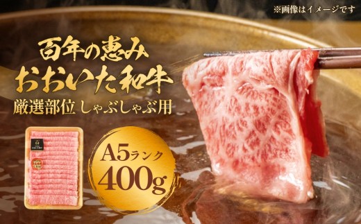 「百年の恵み おおいた和牛」A5しゃぶしゃぶ 400g おおいた和牛 黒毛和牛 牛肉 A5等級 大分県 霜降り ロース 肩ロース もも 肩部位 スライス 風味 豊か 脂肪質 種雄牛 血統 厳選部位