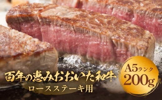 「百年の恵み おおいた和牛 」A5 ロース ステーキ用 200g×1枚 おおいた和牛 ロースステーキ A5等級 黒毛和牛 大分県産 牛肉 高級肉 霜降り 和牛ステーキ 風味豊か 血統 高評価 冷凍 赤身