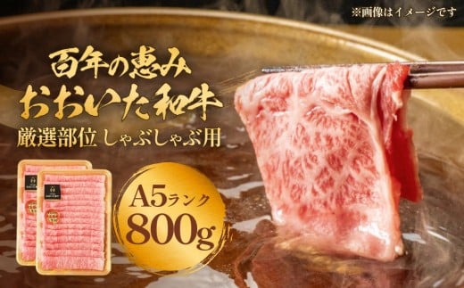 「百年の恵み おおいた和牛」A5しゃぶしゃぶ 800g おおいた和牛 大分県産 黒毛和牛 A5ランク 牛肉 霜降り肉 ロース 肩ロース もも 美味しい 高評価 800g A5
