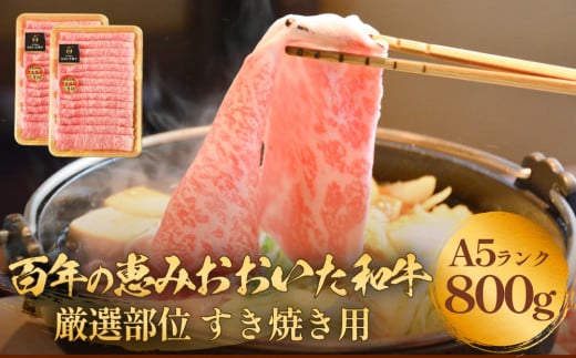 「百年の恵み おおいた和牛」A5すき焼き 800g 大分 九州 和牛 黒毛和牛 しゃぶしゃぶ ロース 肩ロース もも スライス 肉 牛肉 A5 霜降り