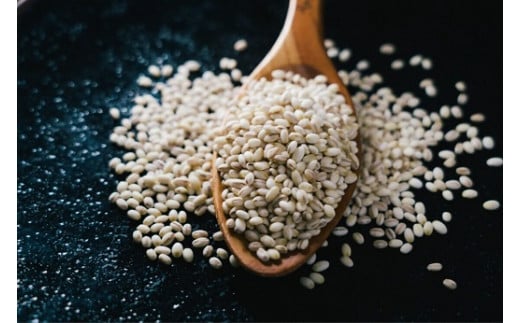 玖珠町産もち麦250g×4個 玖珠町 大分県 九州 もち麦 麦ご飯 炊き方 ご飯 炊飯器 チャーハン カレー 雑炊 食物繊維 健康 寒冷地 栽培 甘み 風味 栄養 お米 ご飯代わり 米料理 栽培地 農産物 農業 食事 味付け 料理 活用