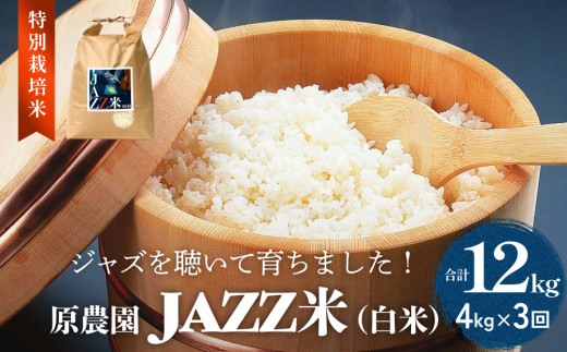 [先行予約]令和7年度産 原農園 JAZZ米 白米 4kg ひとめぼれ 3回定期便 JAZZ 有機栽培 特別栽培米 堆肥 光合成細菌 有効微生物 アートテン農法 抗酸化農法 有効微生物農法 きりかぶ山 地力 白米 環境 地域特産 自然栽培 完熟堆肥 健康