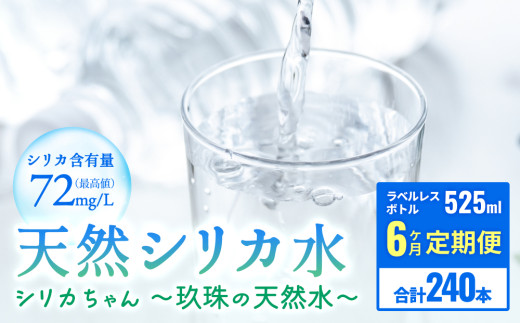 [定期便 6ヶ月] 天然 シリカ 水 525ml × 40本 [シリカちゃん〜玖珠の天然水〜] ラベルレス 天然水 シリカ水 ミネラルウォーター 国産 SDGs