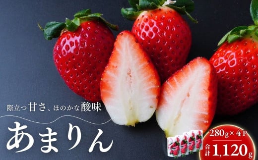 【第3回全国いちご選手権 入賞】あまりん 280g×4パック 2026年 先行予約 | いちご イチゴ 苺 ストロベリー ベリー 季節限定 高評価 果物 くだもの フルーツ 野菜 美味しい おいしい 甘み ほのかな酸味 デザート スイーツ ギフト 贈り物 ビタミン 健康 埼玉県 久喜市