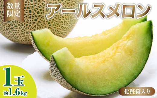アールスメロン ミラノ夏Ⅰ 1玉 約1.6kg 化粧箱入り | アールスメロン メロン ミラノ夏Ⅰ 国産メロン 産地直送 夏ギフト お中元 果物 くだもの フルーツ 美味しい おいしい 甘み デザート スイーツ ギフト 高糖度メロン 贈り物 埼玉県 久喜市