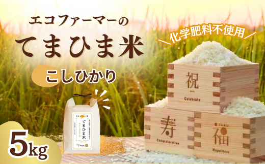 【5kg】 米 令和8年度産 『てまひま米』こしひかり 先行予約 | 米 こしひかり コシヒカリ コメ お米 おこめ 特産米 ブランド米 令和8年 2026年てまひま 手間暇 手間隙 手間ひま 精米 白米 おいしい 美味しい ごはん SDGs 循環型 循環型農業 持続可能な農業 環境に優しい 環境問題 高品質 地元産 主食 和食 安心 ギフト 贈り物 埼玉県 久喜市