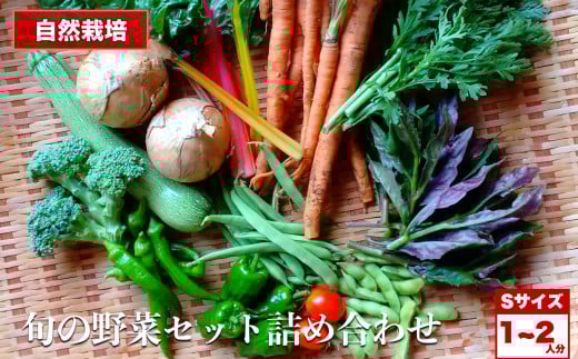 自然栽培 旬の野菜セット 詰め合わせ Sサイズ 1~2人分 くわのみ農園| 野菜 セット 詰め合わせ 自然栽培 農薬不使用 旬 やさい サラダ 採れたて とれたて 新鮮 季節限定 長野県 飯田市 信州