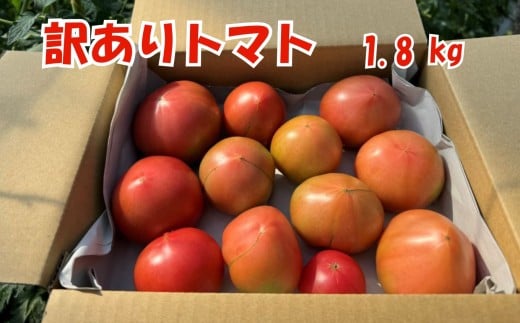 訳あり トマト 七久里農園 | トマト 訳あり 野菜 やさい 新鮮 健康 美容 長野県 飯田市