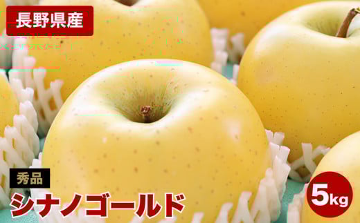 ジューシー な 黄金色 りんご シナノゴールド 約5kg 秀品 [2025年10月下旬〜11月下旬発送]| 果物 くだもの フルーツ りんご 黄金食りんご シナノゴールド 長野県 信州 南信州 飯田市