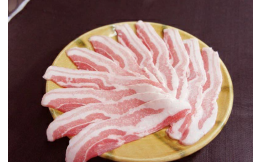 焼肉 の街 信州 飯田 ブランド豚 全日本優秀賞「 幻豚 ( げんとん )」 しゃぶしゃぶ 用 バラ肉 500g | 豚肉 ポーク お肉 しゃぶしゃぶ 肉 信州 長野県 飯田市