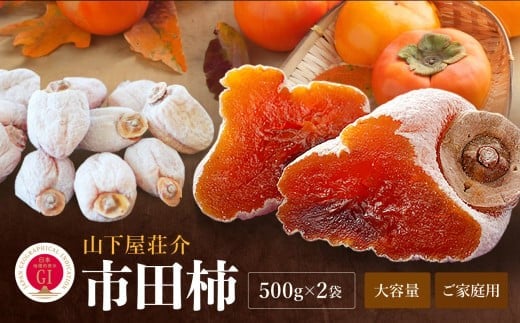 信州 の 特産品 市田柿 ご家庭用 500g × 2袋  ＜2026年1月上旬～2月下旬発送＞ | 果物 くだもの フルーツ 柿 かき 市田柿 長野県 信州 南信州 飯田市