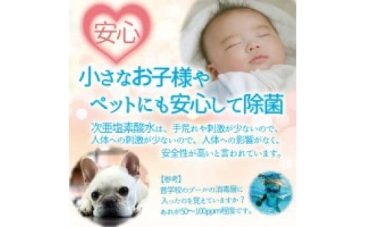 次亜塩素酸水 除菌 セット ( 除菌スプレー 1本 ・ 除菌剤 30包入 ) | スプレー 希釈 除菌 消臭 簡単 経済的 国内製造 安心 長野県 飯田市