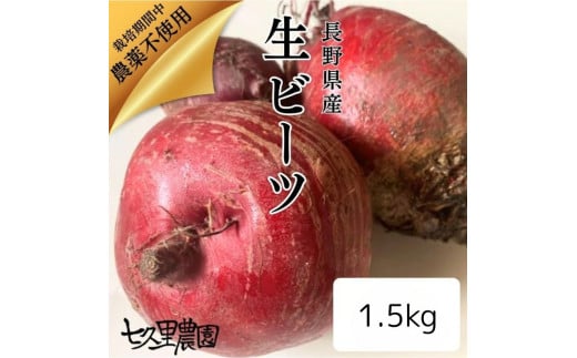 レッド パワー ビーツ 1.5kg | 野菜 ビーツ 生ビーツ レッドパワー レッドパワービーツ 新鮮 長野県 信州 南信州 飯田市 R12