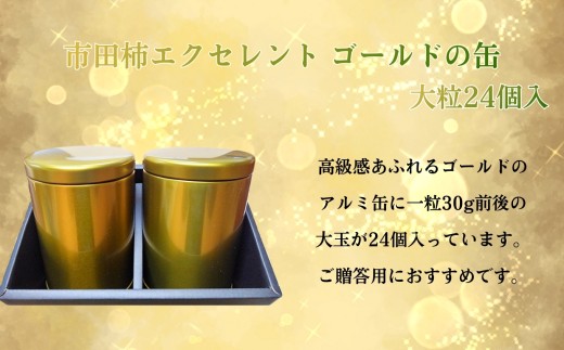 市田柿 エクセレント ゴールドの缶 12個 入り × 2缶 | 果物 くだもの フルーツ 市田柿 柿 干し柿 贈答用 プレゼント 贈り物 長野県 飯田市