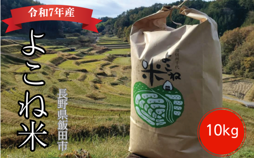 よこね 米 コシヒカリ 精米 10kg | 米 お米 おこめ ご飯 ごはん コシヒカリ はざかけ 天日干し 長野県 飯田市