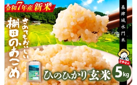 【令和7年産 新米】【基肄城水門米】さめてもおいしい棚田のお米 5kg【ひのひかり 米 玄米 お米 やまつき米 モチモチ 基山町産 棚田米 5kg】K072007