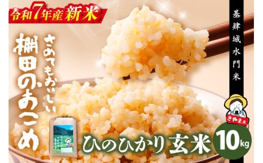 【令和7年産 新米】【基肄城水門米】さめてもおいしい棚田のお米 10kg【ひのひかり 米 玄米 お米 やまつき米 モチモチ 基山町産 棚田米 10kg】K072008
