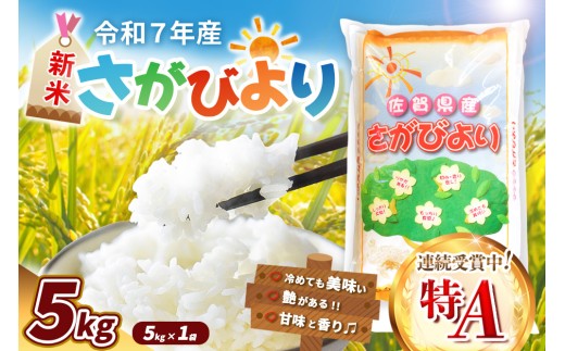 【令和7年産新米】さがびより 5kg【特A米 米 ブランド米 県産米 精米 ごはん おにぎり お弁当 ふっくら もっちり】K018030