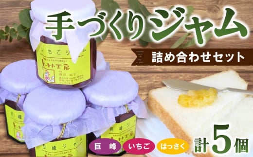 手づくりジャム詰め合わせセット【ジャム 手づくり マーマレード はっさく 巨峰 さがほのか 詰め合わせ セット】 K016004