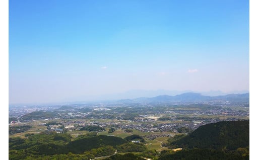 町におまかせ