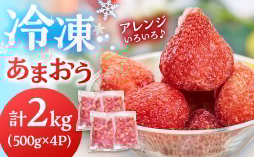 【2026年4月以降発送】福岡産 冷凍 あまおう 2kg（500g×4袋） ▼ 福岡 冷凍いちご 苺 イチゴ フルーツ 小分け 桂川町/南国フルーツ株式会社[ADBW006]