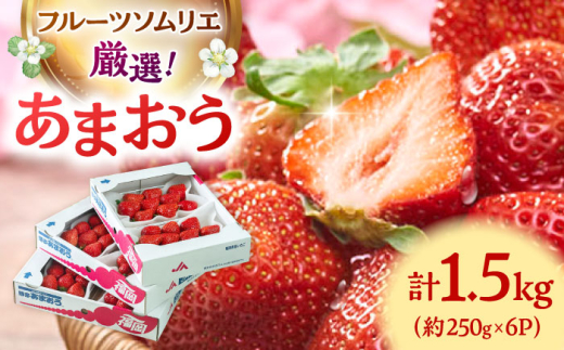 【2026年2月上旬より発送】福岡産【春】 あまおう 6パック ▼ 福岡 あまおう イチゴ 苺 果物 フルーツ 桂川町/南国フルーツ株式会社[ADBW010]
