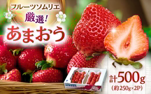 【2025年12月上旬より発送】福岡産【冬】 あまおう 2パック ▼ 福岡 あまおう イチゴ 苺 果物 フルーツ 桂川町/南国フルーツ株式会社[ADBW011]