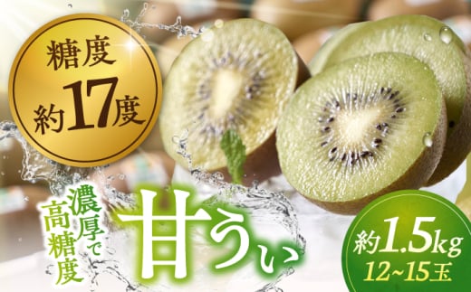福岡産ブランド キウイ 甘うぃ 約1.5kg（12-15玉） ▼ フルーツ 果物 キウイフルーツ くだもの 桂川町/南国フルーツ株式会社[ADBW024]