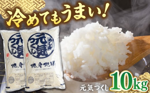 福岡産ブランド米 元気つくし 10kg (5kg×2袋) ▼ 米 こめ お米 福岡 九州 白米 精米 桂川町/南国フルーツ株式会社[ADBW027]