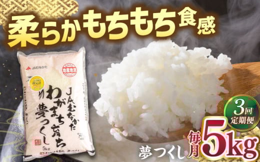 【全3回定期便】福岡産ブランド米・夢つくし5kg ▼ 米 こめ お米 福岡 九州 白米 精米 定期便 桂川町/南国フルーツ株式会社[ADBW036]