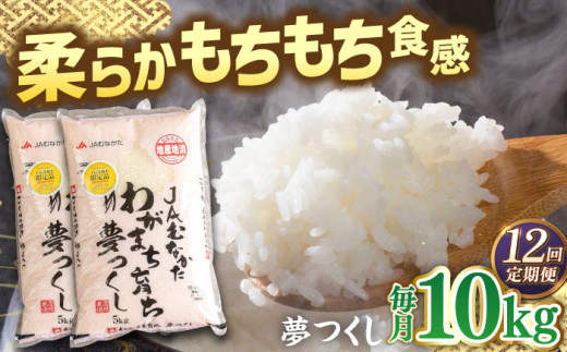 【全12回定期便】福岡産ブランド米・夢つくし5kg×2袋 ▼ 米 こめ お米 福岡 九州 白米 精米 定期便 桂川町/南国フルーツ株式会社[ADBW041]