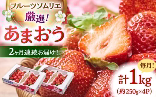 【全2回定期便】福岡産【春】いちご あまおう4パック ▼ イチゴ  苺 福岡 あまおう 果物 フルーツ 定期便  桂川町/南国フルーツ株式会社[ADBW042]