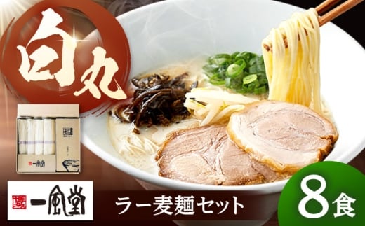「一風堂」白丸 ラー麦麺セット 合計8食分セット  桂川町/博多漁師の里 [ADCA003]