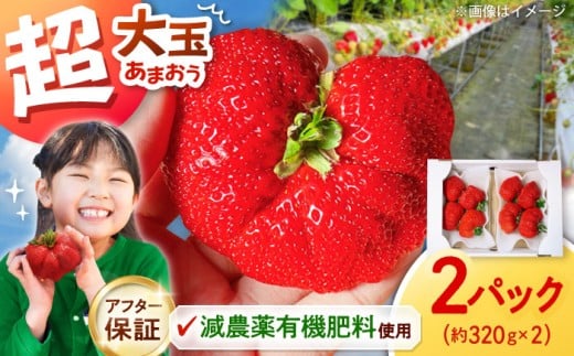 いちご 超大玉 あまおう  約320g×2パック【アフター保証】 ▼ 先行受付 希少 あまおう いちご 苺 イチゴ フルーツ 果物 くだもの 人気 旬 福岡県産 アフター補償 ギフト 贈答品 プレゼント 贈り物 産地直送 福岡県 桂川町/高嶋園芸[ADAT001]