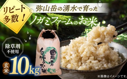 玄米 10kg 【令和7年産】弥山岳の岩清水で育ったノガミファームのお米 ▼ 除草剤 不使用 おいしい もちもち つや 玄米 米 リピート 桂川町/NOGAMI FARM [ADAU010]