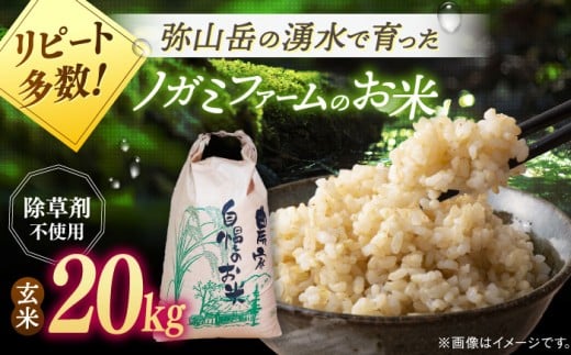 玄米 20kg【新米 令和7年産】弥山岳の岩清水で育ったノガミファームの お米 ▼ おすすめ 人気 ランキング 除草剤 不使用高評価 国産 福岡県産 九州 米 お米 玄米 ご飯 ごはん ゴハン 精米前 未精米 桂川町/NOGAMI FARM[ADAU012]