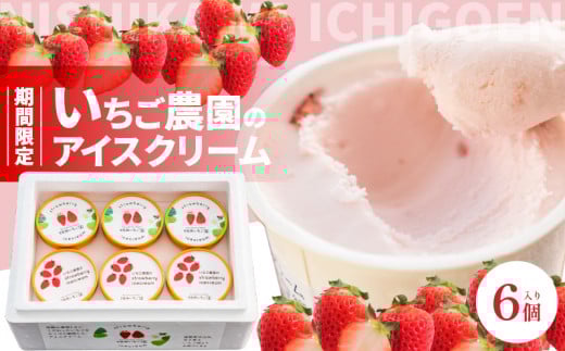 数量限定！いちご農園のアイスクリーム６個パック 　お土産 手土産 贈り物 ギフト プレゼント
