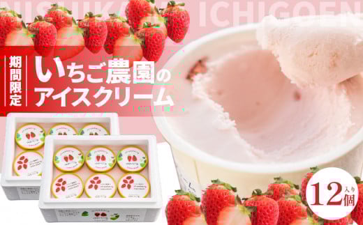 数量限定！いちご農園のアイスクリーム12個パック 　お土産 手土産 贈り物 ギフト プレゼント スイーツ